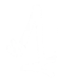 Один